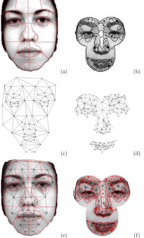 Fig. 5. The model (left) and the image where recognition has to be performed (right). (a), (b): Segmentation superimposed on the image
