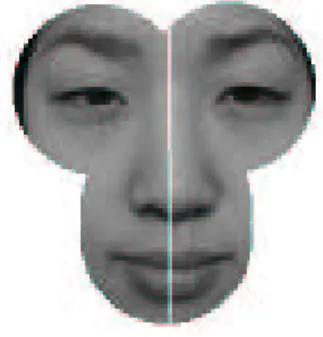 Fig. 6. A face and the detected symmetry axis.