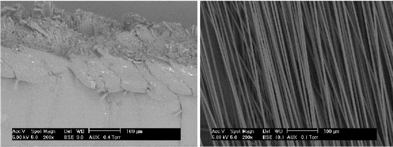 Figure 1: ESEM pictures of (a) composite and (b) virgin carbon fibers. 