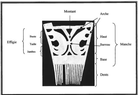 Figure 1: Les parties du peigne « typique» seneca (peigne # 25’).