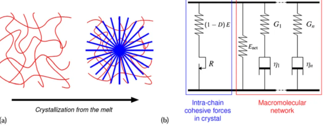 Fig. 2. (a) Structural model for spherulitic semi-crystalline polymers; (b) rheological model.