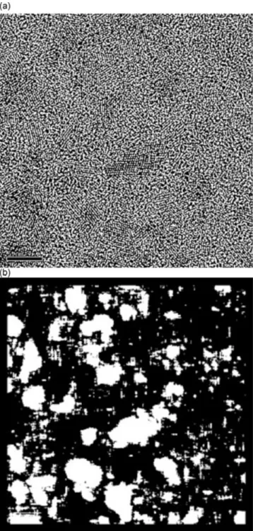 Fig. 6. Separation of the silica and ceria phases. Example of an image extracted from set 1