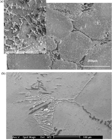 Fig. 1 – Geometry of fatigue samples machined from weld-repaired blocks.