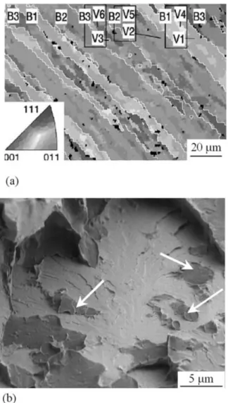 Fig. 5. Necessity of 3D determination of microtexture to characterize brittle cleavage cracking in lath martensite and lower bainitic steels