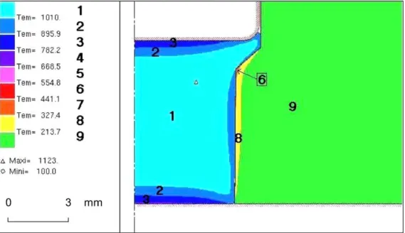 Fig. 8. Temperature in the nut and in the die (scale in mm, temperature in ◦ C).