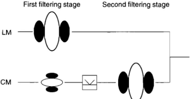 Figure 11-2.  Filter-rectify-filter model.  For contrast-modulated stimuli  (CM)  the  first  filtering  stage  processes  the  carrier so  that,  after  a  rectification  process,  the  second  stage can detect the envelope