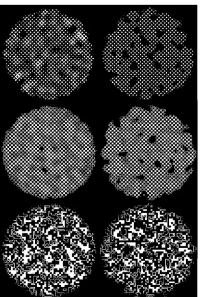 Figure  11-6.  Luminance- and  contrast-modulated  noise.  Luminance- (left)  and  contrast-modulated  (right)  noise  with  three  types  of  carriers:  plaid  (top),  checkerboard (center), and binary noise (bottom)