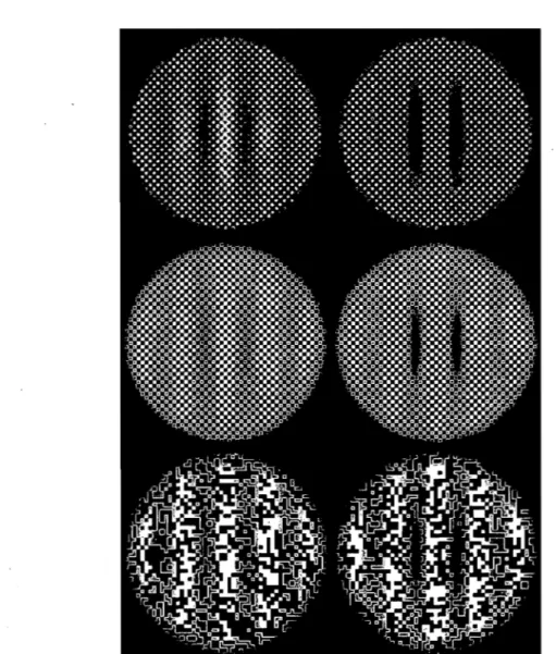 Figure  11-7.  Luminance- and  contrast-modulated  signais.  Luminance- (Ieft)  and  contrast-modulated  (right)  Gabor  patch  with  three  types  of  carriers:  plaid  (top),  checkerboard (center), and binary noise (bottom)