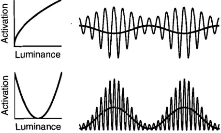 Figure  III-2.  Nonlinearities  enabling  the  processing  of  contrast-modulated  stimuli