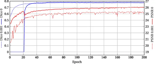 Figure 14: Dice score (blue) and PSNR (red) evolution during the training on the dHCP dataset