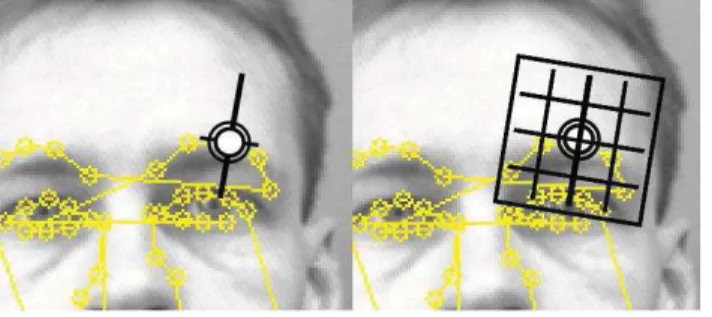 Fig. 2. Left: Gradient proﬁle matching cost of the landmark highlighting in Fig. 1 over a window of size 21x21
