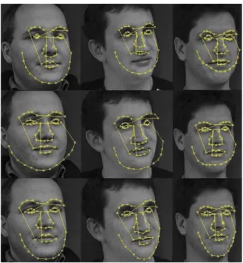 Fig. 4. Combined landmark detection model: 45 landmarks deﬁne the facial internal region model (represented with SIFT features) and 13 landmarks deﬁne the facial contour model (represented with  Grey-Level Proﬁle features)