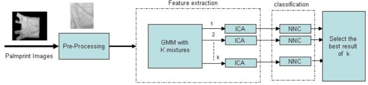 Figure 1 shows the block diagram of our palmprint verification system. The pro- pro-posed system contains three important steps: Preprocessing, Feature extraction and Classification.