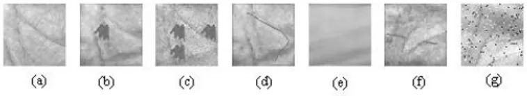 Fig. 2 (a) Clean palmprint (b)-(g). Noisy Palmprints