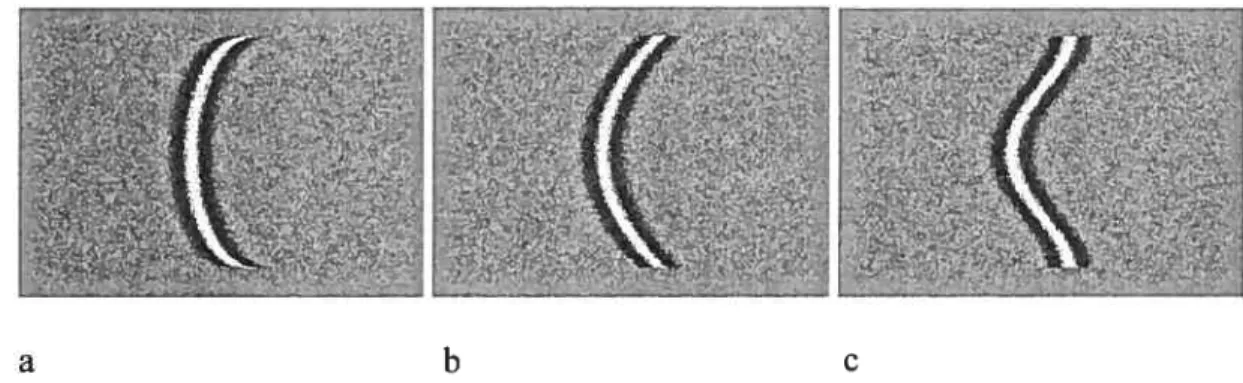 Figure 4. Stimuli used in experiment 2. a) Cornpress arc; b) quadratic; c) beli
