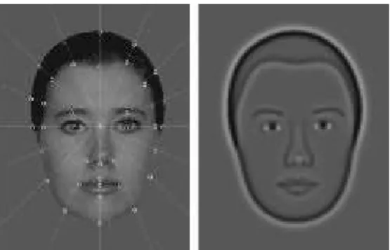 Figure 1. An original digital photo using 37 measurements and its synthetic face. 