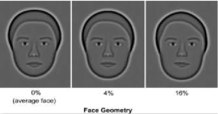 Figure 2. Faces with increasing geometrical change (in % face geometry   change) from the average face