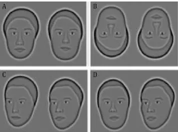 Figure 3. The four faceview conditions assessed. 