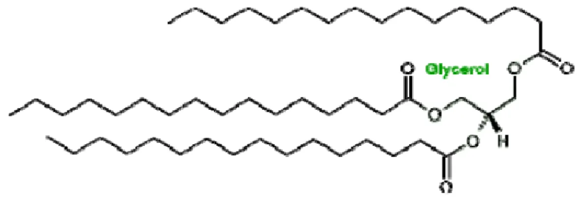 Figure I-1: Structure chimique générale d'un triglycéride. 