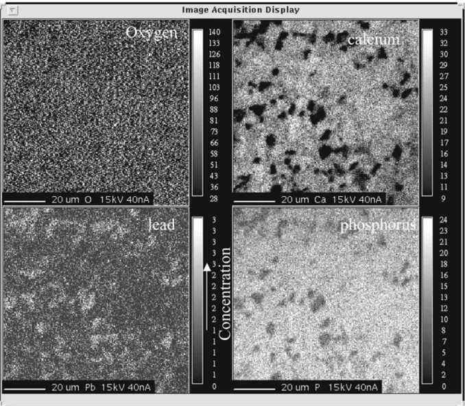 Figure 5. WDS microprobe analysis of the experiment with initial lead concentration of 5000 mg l " 1 .