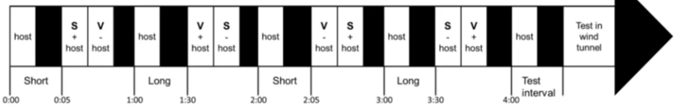 Figure 4-1. Example of a training timeline of Microplitis croceipes for association between a  short interval and the odour of strawberry and a long interval with the vanilla odour