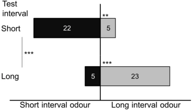 Figure 4-2. Number of Microplitis croceipes parasitoid wasps responding to odours associated  to a short (5 min) or a long (30 min) interval of time between Helicoverpa armigera larvae  encounters, depending on the test interval duration (Short: n=39; Long