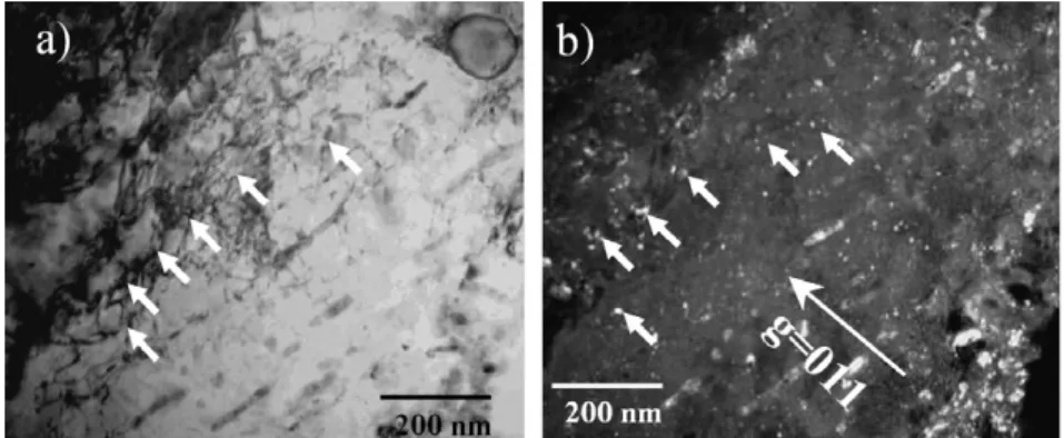 Fig. 8. (a) Bright field TEM image of a martensitic lath showing the pinning of dislocations on small vanadium carbides (reference grade)