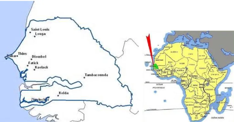 Figure 2.  Carte du Sénégal  Source : En ligne : www.routard.com › Afrique › Sénégal 