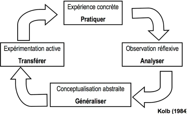 Figure 3 : Cycle de l'apprentissage expérientiel de Kolb 