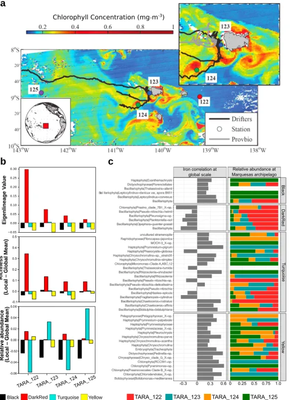 Figure 7. The Marquesas study site, showing sampling sites, surface chlorophyll concentrations, and the local dynamics of the four eukaryotic IAAs