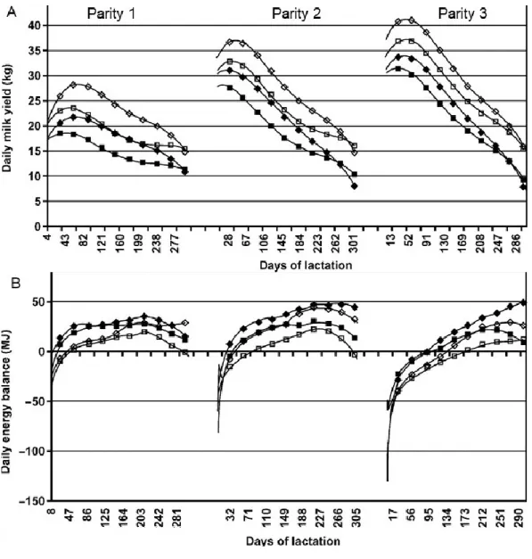 Figure 2.  Average milk yield (kg; image in the top, A) and daily energy balance (MJ; 