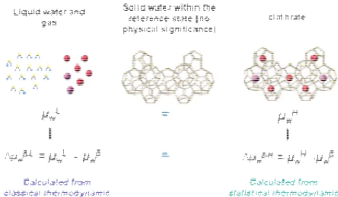 Figure 1 : Schematic of the equilibrium between  the clathrate hydrate phase and the liquid phase 