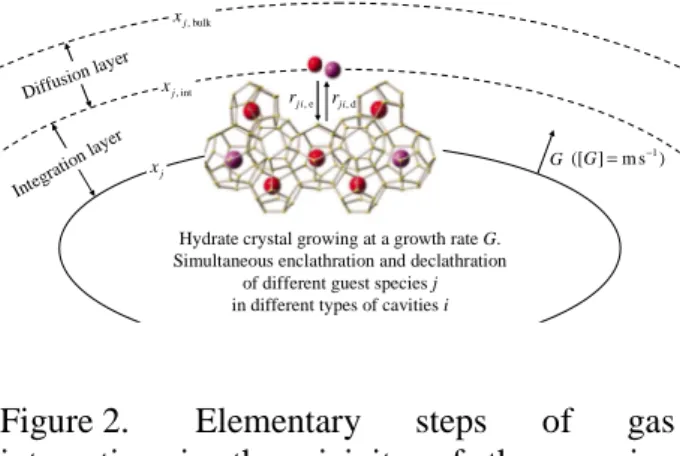 Figure 2.  Elementary  steps  of  gas  integration  in  the  vicinity  of  the  growing  hydrate surface