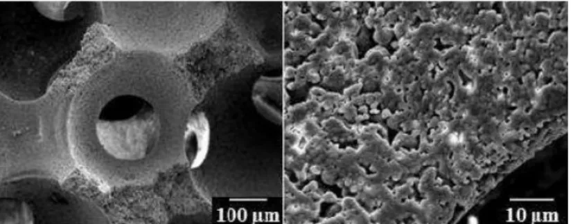 Fig. 1: Macroporous architecture of CHA ceramics obtained via  a template casting process  (left) and detail of the microstructure (right)  