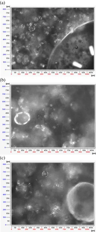 Figure 13 PVM images from the experiment with  90% water and flow rate of 400L/h: (a) initial 