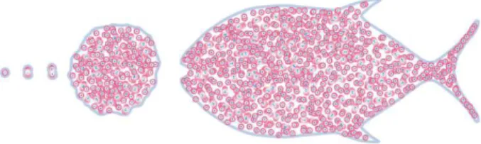 Figure 2: Multivalued analysis to formalize a cell that multiplies and moves