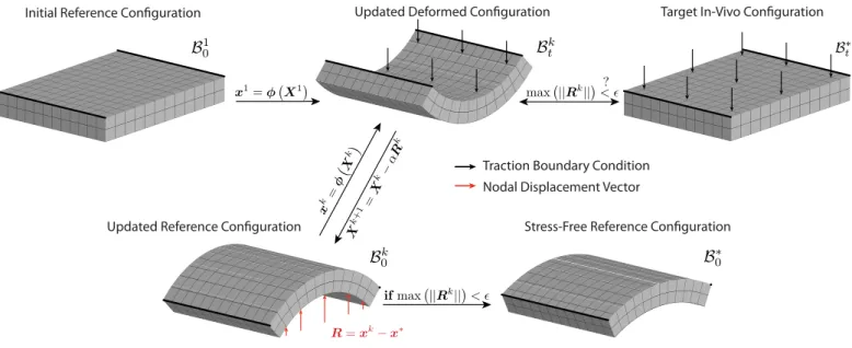 Figure 1: Illustration of Sellier’s iterative method for identifying a stress-free reference configuration in biomechanical boundary value problems.