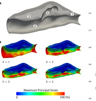 Figure 3: A) Loaded in vivo geometry of a murine aortic dissec- dissec-tion derived from in vivo ultrasound and ex vivo optical coherence tomography with (1) aortic wall, (2) aortic lumen, (3) intramural thrombus, and (4) false lumen