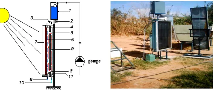 Fig. 1.9. Schéma d’un distillateur solaire vertical 