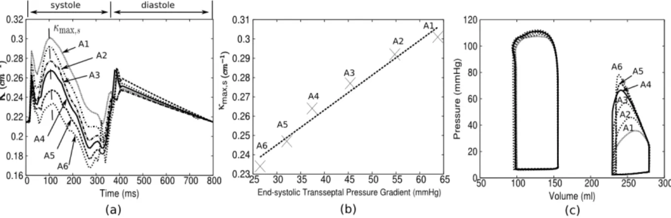 Figure 6: Effects of afterload on septum curvature within a cardiac cycle. (a): Time-course of κ with different RV afterload