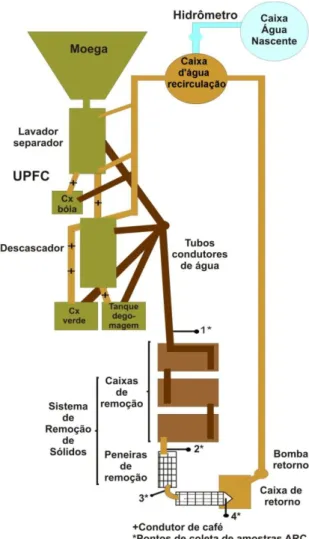 Figura  3  -  Conjunto  experimental  composto  pelos  equipamentos  da  unidade  de  processamento  e  pelo  sistema  de  remoção  de  sólidos  suspensos  sedimentáveis  dos  frutos  do  cafeeiro