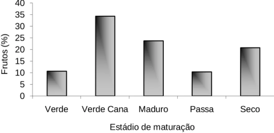 Figura  4  - Médias  do  estádio  de  maturação  dos  frutos  de  café  arábica,  variedade  Catuaí  Vermelho  81, processados na Fazenda Experimental de Venda Nova do Imigrante-ES, 2010
