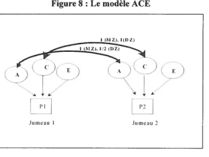 Figure 8 : Le modèle ACE