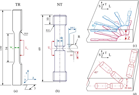 Figure 2: (a) Tensile geometry specimen with longitudinal (red) and lateral (green) ex- ex-tensometers, L o and w o are the initial dimensions; (b) Axisymmetric notched geometry specimen with length (red) and section (blue) extensometers, U o and Φ o are t