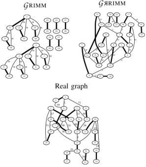 Fig. 7. A meta-model for the scaffold graphs.