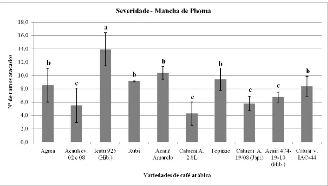 Figura 1- Severidade da mancha de phoma em variedades de café arábica, Mal Floriano-ES, 2015