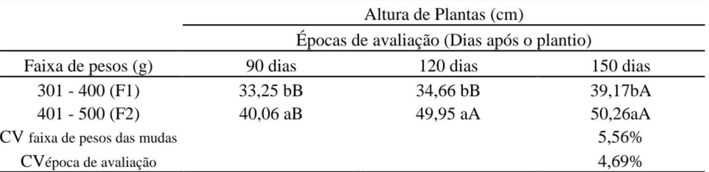 Tabela 2- Diâmetro de caule do abacaxizeiro cv. ‘Vitória’ em função das diferentes faixas de pesos  das mudas e épocas de avaliação em cultivo realizado em Sooretama- ES