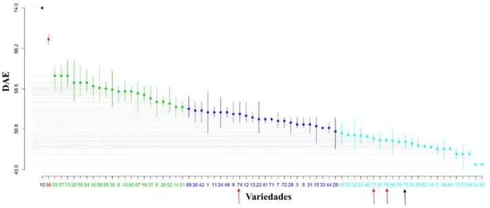 Figura 1 - Florescimento Masculino de 73 variedades crioulas de milho e quatro testemunhas  comerciais