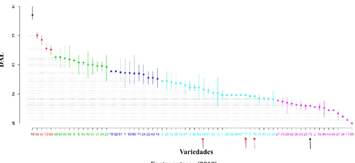 Figura 2 - Florescimento Feminino de 77 variedades crioulas de milho.DAE = Dias após a  emergência