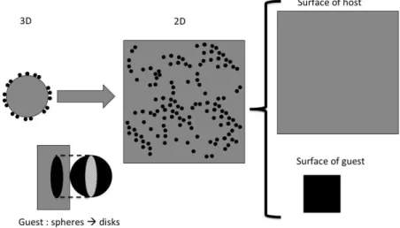 Figure  3  shows  the  model  we  consider  to  transforms  '3D  reality'  (guest  spheres  covering  randomly  one  host  sphere, coating thickness limited to one layer only) into a '2D system' (disks covering a square of same area than the  initial host 